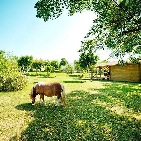 Hotel Mercure Cyprus Casino & Wellness