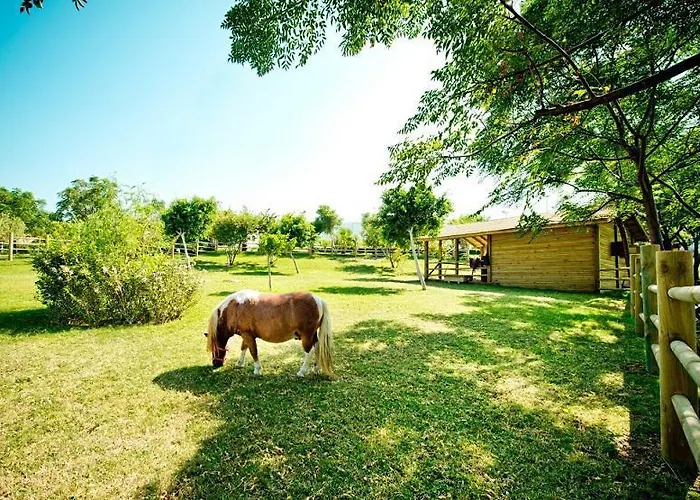 Hotel Mercure Cyprus Casino & Wellness